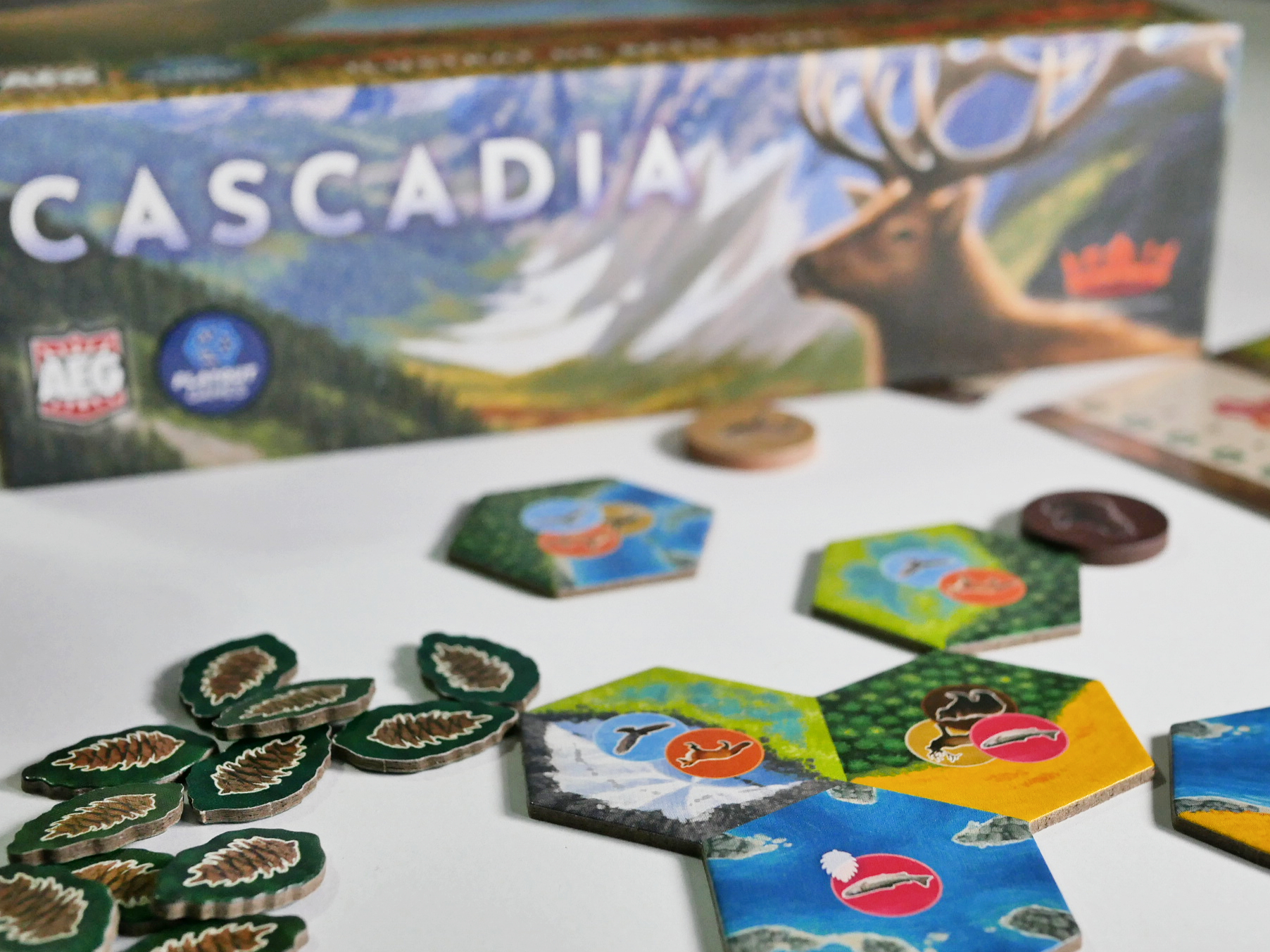 Grupă Cascadia: Competiția Națională de Board Games
